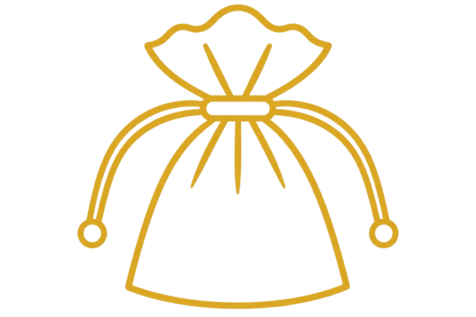 Organza Pouch BD